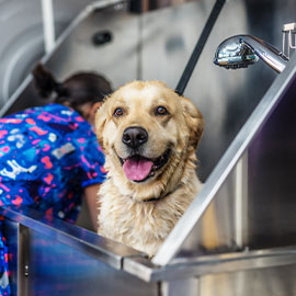 写真：大きな浴槽