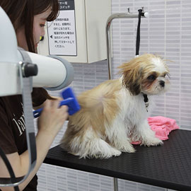 写真：プロ仕様のスタンドドライヤー