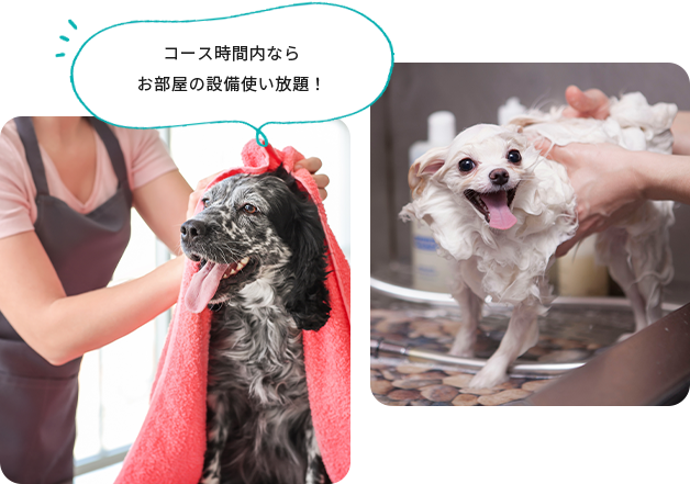 写真：シャワーの様子