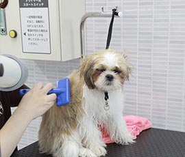 写真：ドライヤーの台