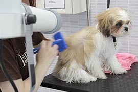 写真：電源ボックスの黄色いボタン