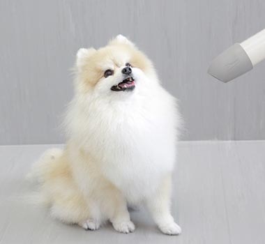 写真：プロ仕様のドライヤーで乾燥