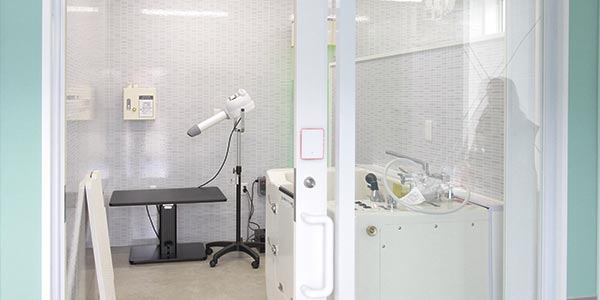 写真：完全予約制の個室レンタル